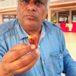 Ashish Vidyarthi Instagram - Smoky Captain Fish with Amazingly Spicy Pili Pili Mbuzi Sauce🐠🌶️🥵By The Congo River in Congo, Africa #africa #fish #spicy #reelitfeelit #reelkarofeelkaro #reelsinstagram #reels #congo #kinshasa #africancuisine #sauce #captain #river #congokinshasa #ashishvidyarthi #travel #explore #instareels #actorslife Congo. Africa