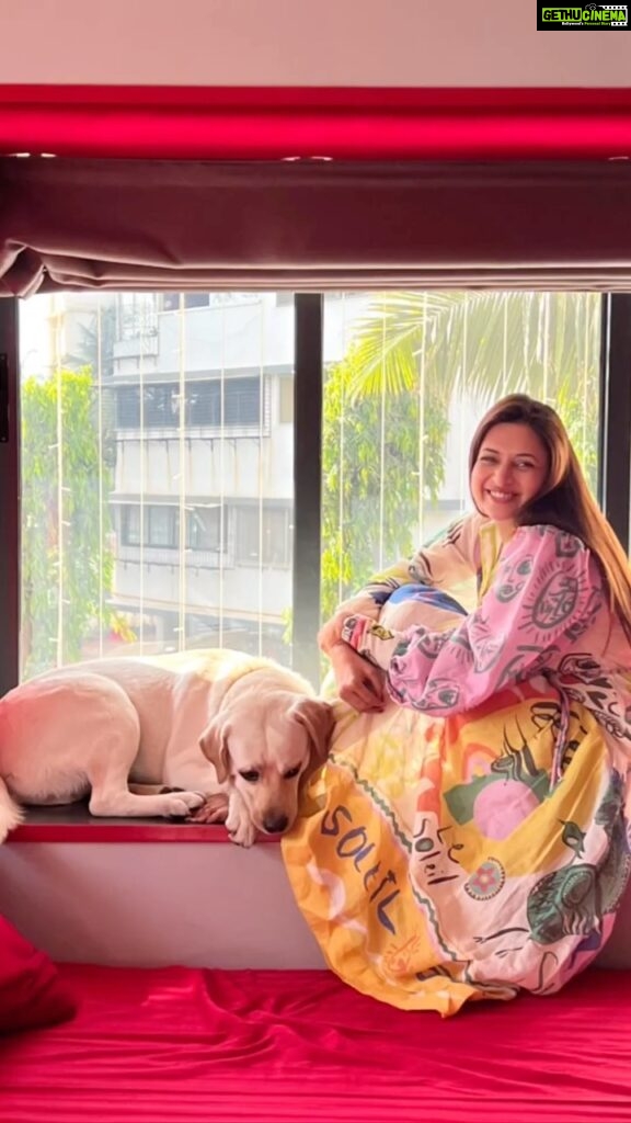 Divyanka Tripathi Instagram - Pause with Paws. #SandiiKaGucci