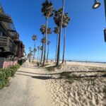 Nia Sharma Instagram - This used to be My usual day back in school. I beach hopped to discover my favourite spot on the last day at Venice beach…asked around ..but only if anyone knew my vibe.. they’d lead me here already.. Would’ve stayed here all night only if there wasn’t a flight to catch.. #venicebeachcalifornia Venice Beach, Los Angeles