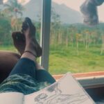 Nimisha Sajayan Instagram - ☘️❤️