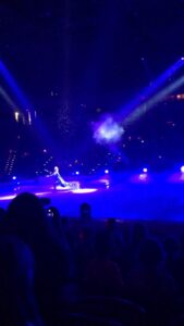 Panchi Bora Instagram - Disney on ice was magical indeed! ❄️