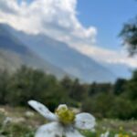 Pranati Rai Prakash Instagram - Living my best life in the hills, meditating and trekking through the day and spending time with nature and localites. More from yesterday! 🪵🤍🐰