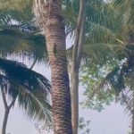 Sangeetha Sringeri Instagram - Did you notice the bird in first 4 seconds? 😉