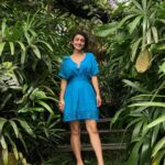 Sanjeeta Bhattacharya Instagram - It’s a good day to be swallowed by green, walk the rice terraces and swing through them, have Rosella tea, try kopi luwak, eat some delish Nasi Goreng and be incredibly grateful for these moments. 🌴🌾☕️ Tegallalang, Bali, Indonesia