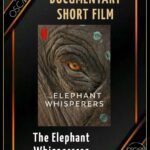 Sshivada Instagram - Such a proud moment …Congratulations!!! #rrr #elephantwhisperers #theoscars