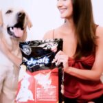 Vaani Kapoor Instagram - This holiday season, shower your pets with lots of presents, cuddles & christmas cheer with @droolsindia 🎄🎅🏻 Drools Daily Nutrition is carefully crafted with 100% real ingredients & 0 by-products to ensure the daily wellbeing of your beloved pets! Team Drools & I wish you all a very Merry Christmas! ❤️