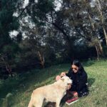Anaswara Rajan Instagram - Lost in my fantasy ✨🐶🍃 Kodaikanal- Princess of Hills