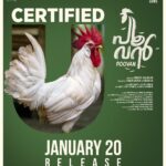 Antony Varghese Instagram - Clean 'U' Certificate!!! Poovan is a 100% entertainer for all ages Experience and Enjoy in theaters from January 20, 2023 @poovan_movie 🐓 #poovan #poovanMovie #shebinbacker #shebinbackerproductions #girishAD #Stuckcows #AntonyVarghese #Pepe #vineethVasudevan #malayalamMovie #SonyMusic #snakeplant #comingSoon