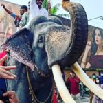 Antony Varghese Instagram - ഉണ്ണികൃഷ്ണന് വിട.... അജഗജാന്തരം ഇത്ര മികച്ചതാക്കാൻ കൂടെനിന്ന ഞങ്ങളുടെ സ്വന്തം പാർത്ഥൻ ..