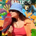 Avantika Mishra Instagram - Thank you @balizoo for arranging a date for me with the 🦒 🦓 🦔❤️
