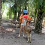 Avantika Mishra Instagram - Thank you @balizoo for arranging a date for me with the 🦒 🦓 🦔❤️