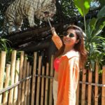 Avantika Mishra Instagram - Thank you @balizoo for arranging a date for me with the 🦒 🦓 🦔❤️