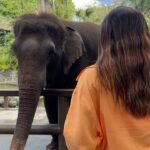 Avantika Mishra Instagram - Thank you @balizoo for arranging a date for me with the 🦒 🦓 🦔❤️