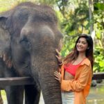 Avantika Mishra Instagram - Thank you @balizoo for arranging a date for me with the 🦒 🦓 🦔❤️