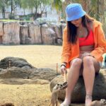 Avantika Mishra Instagram - Thank you @balizoo for arranging a date for me with the 🦒 🦓 🦔❤️