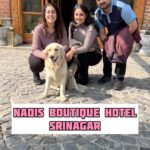 Bhanushree Mehra Instagram - I had recently stayed at @nadiskashmir in Harawan, Srinagar and fell in love with this cozy and vibrant place. From the bright and cheerful interiors to the comfortable and spacious rooms, every detail at this pet-friendly hotel is designed to make you feel relaxed and happy. But it’s the hospitality and delicious Kashmiri cuisine that truly sets this hotel apart. So if you’re looking for a pet-friendly retreat in Srinagar that offers comfort, style and authentic local flavor, look no further than Nadis Boutique Hotel. Thank you @nadiskashmir @mademoiselle.reshi for a memorable stay ! ❤️