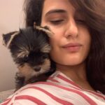 Fatima Sana Shaikh Instagram - Photo dump of pictures with bijlee ❤️ ❤️ ❤️ Cuz why not? From waking me up In the mornings to hiking up the mountains. Travelling with her is always the best. Best girl!! #bijlee #pyaari #jaan