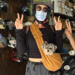 Fatima Sana Shaikh Instagram - Photo dump of pictures with bijlee ❤️ ❤️ ❤️ Cuz why not? From waking me up In the mornings to hiking up the mountains. Travelling with her is always the best. Best girl!! #bijlee #pyaari #jaan