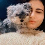 Fatima Sana Shaikh Instagram - Photo dump of pictures with bijlee ❤️ ❤️ ❤️ Cuz why not? From waking me up In the mornings to hiking up the mountains. Travelling with her is always the best. Best girl!! #bijlee #pyaari #jaan