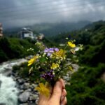 Fatima Sana Shaikh Instagram - That’s what my morning walks in the mountains looked like :) Picking flowers mostly :p Also, the jacket and the beautiful shirt is by @sharlho Dharamshala, Himachal Pradesh..