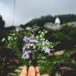 Fatima Sana Shaikh Instagram - That’s what my morning walks in the mountains looked like :) Picking flowers mostly :p Also, the jacket and the beautiful shirt is by @sharlho Dharamshala, Himachal Pradesh..