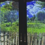 Fatima Sana Shaikh Instagram - Have never experienced bir like this. Highly recommend @the_jungalow_bir (this is not an ad) But genuinely really enjoyed staying here. With the stream being just next to the house and the house being an extension of the nature made it even more special. Wish I could stay there for longer!!. FYI! best South Indian restaurant walking distance from the stay. @avva_cafe_bir If you go to bir, then you must go there. :) The Jungalow