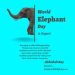 Jackie Shroff Instagram - Everyday is #WorldElephantDay Today only about 27,000 wild #elephants remain in India - The land of #Lord #Ganesha - the elephant #God. Being large wandering mammals, elephants are a robust indicators of our free land and freshwater resources. Elephants are highly efficient seed dispersal agents as new fruiting trees come out of elephant dung. Elephant herds have traditionally followed the rains across the vast expanses of the Indian subcontinent. So they are ancient harbingers of the monsoons. Elephants mourn their dead by regularly remembering and visiting places where they have lost a near and dear one. Elephants are masters of ancient Ayurveda and they are known to be a repository of plant medicinal knowledge passed over generations. They are similar to us in longevity, memory, intelligence and sensitivity. Yet we have killed 98% of the free ranging #wild elephant population in the last few decades taking over their land and water resources! Think over it !