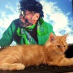 Jackie Shroff Instagram - #internationalcatday . . #internationalcatday🐱