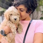 Mandira Bedi Instagram - Welcoming to the Family: Bark, Bach, Barkinder, Baku, Bade Bark Saheb, Barklava Bark-khurdar ❤️🐶❣️🧿