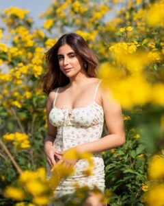 Miesha Saakshi Iyer Instagram - Andhi Vaanam Araikkum Manjal 🌻

Outfit @a.la.modebyakanksha 
📸 @swagatsharmaphotography