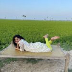 Pavani Gangireddy Instagram - The best Sankranthi celebrations are when you are at the villages. #sankranti #pongal #paddyfield #village