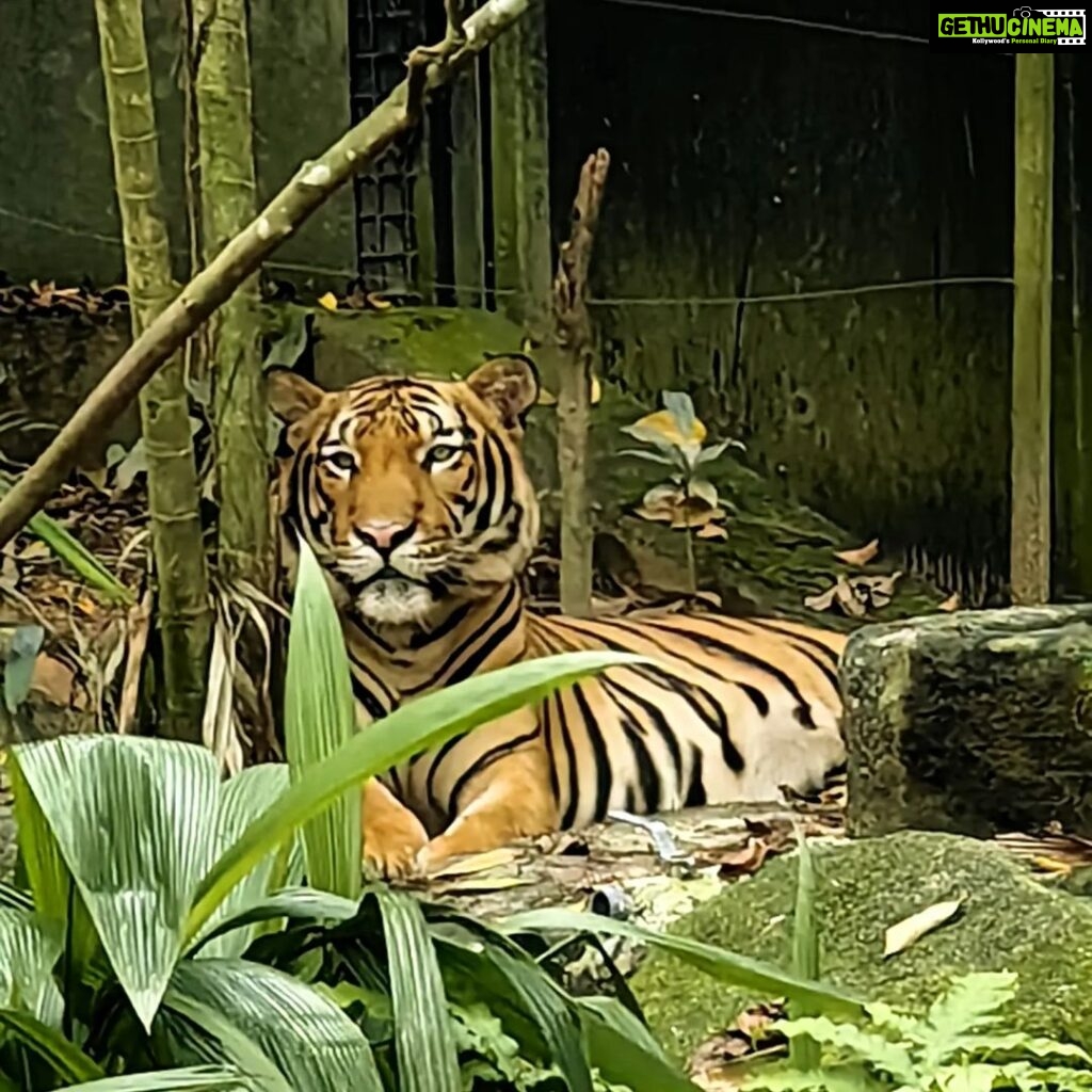 Selvaraghavan Instagram - At ZOO