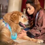 Tina Datta Instagram - A hug that takes away all my stress and worries... My baby boy!! ❤️ . . . #FamilyDatta #FamilySunday #EklaChaloRe #WarriorPrincess #HumRaheNaRaheHum #dogsofinstagram #petlovers #doglover #tinadatta Umbergaon