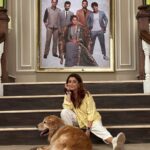 Tina Datta Instagram - “Most of us have been told angels have wings, some of us have learned they have paws!” . . . #FamilyDatta #FamilySunday #EklaChaloRe #WarriorPrincess #HumRaheNaRaheHum #dogsofinstagram #petlovers #doglover #tinadatta