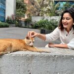 Vaidehi Parashurami Instagram - Me : Meow Meow : Meowwww Me : Meow Meow Meow : Meowwwwww P.S : This is a private conversation which only the two of us will understand! 😻 #wonderfulwednesday #catsarecute #meow #meowmeow