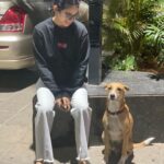 Aakanksha Singh Instagram - From jogging together in 2021 to strolling and chilling together yesterday.. we have come a long way HASMUKH 🤓❤️ Love doesn’t need language.. LOVE is the language 🥰 #adoptdontshop #theyarelove #dogsofinstagram