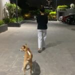 Aakanksha Singh Instagram - From jogging together in 2021 to strolling and chilling together yesterday.. we have come a long way HASMUKH 🤓❤️ Love doesn’t need language.. LOVE is the language 🥰 #adoptdontshop #theyarelove #dogsofinstagram