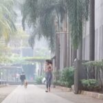 Aakanksha Singh Instagram - From jogging together in 2021 to strolling and chilling together yesterday.. we have come a long way HASMUKH 🤓❤️ Love doesn’t need language.. LOVE is the language 🥰 #adoptdontshop #theyarelove #dogsofinstagram