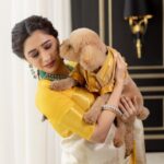 Aarthi Instagram - Our sunshine doesn’t come from the skies, but it comes from the love that’s in your eyes Archer. Happy 2 our baby boy 💛🧿 #archerravi #birthdayboy #poodlesofinstagram #babyboylove #dogsofinstagram #dogmom #ourwholeworld #pawtytime #chroniclesofarcher