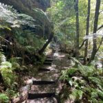 Abijeet Duddala Instagram - Hi, it's Indian Jones.. Can someone ship me a whip? Desi Laati will also do. Nice hike pole jugaad.. #hike #bluemountains #trail #wilderness #nature Grand Canyon Hike - Blue Mountains Nsw