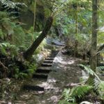 Abijeet Duddala Instagram - Hi, it's Indian Jones.. Can someone ship me a whip? Desi Laati will also do. Nice hike pole jugaad.. #hike #bluemountains #trail #wilderness #nature Grand Canyon Hike - Blue Mountains Nsw