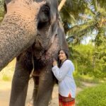 Adah Sharma Instagram - #TheKeralaStory actress Adah Sharma celebrating with her friend Kumari @adah_ki_adah #adahsharma #adahkiadah #adah_ki_adah #adah_sharma #elephantlove #elephants