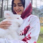 Adah Sharma Instagram - Guess the movie this song is from 🦍🐘❤️ For everyone who asked me to sing a punjabi song 🤓❤️ these were the only punjabi lyrics I’ve mouthed hahaha Telugu Bhavana Reddy ke imagination mein she sings punjabi i loveeee movies yaaaaaa 😍😍 #100YearsOfAdahSharma #adahsharma