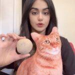 Adah Sharma Instagram - A potato is not sharp #RavivaarWithRadha #StarKidRadhaSharma #radhasekoikaisenajale #radhaissotalented #100yearsofadahsharma #adahsharma #starkid #weightloss #comedy #scary
