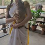 Adah Sharma Instagram - Translate in the comments 🙃🐕🐾 Wolf babies 😍😍😍 #100YearsOfAdahSharma #adahsharma #puppies #puppiesofinstagram #wolves #elephants #elephantlove P.s. second puppy gets another video 🤓