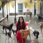 Adah Sharma Instagram – Please listen to the voices of animals, they might speak in a language we don’t understand but they too feel pain , just like us .
This is an appeal to bring up the Prevention of cruelty to animals amendment bill in the Monsoon Session of the Parliament .
The price of the life of an innocent animal is 50 rupees right now?? 😱 #NoMore50 
When any fine for any crime is a large amount , people think twice or hesitate before they commit it .
Violence to any being reflects as violence in society .
I request all of you to appeal to @narendramodi
@parshottam.rupala to up the punishment for such perversion drastically .
#AmendPCA #StopAnimalCruelty