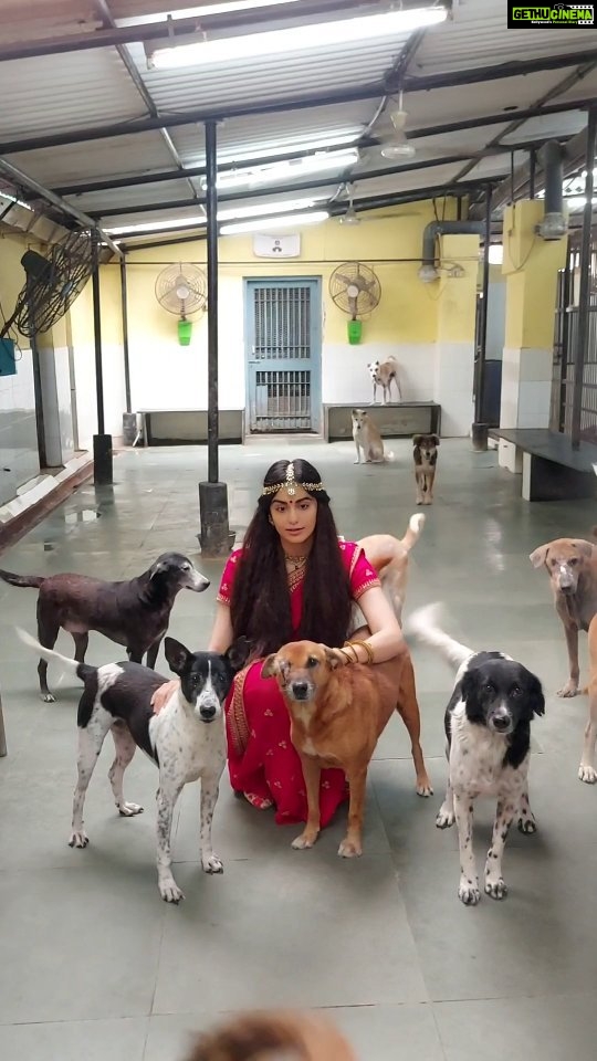 Adah Sharma Instagram - Please listen to the voices of animals, they might speak in a language we don't understand but they too feel pain , just like us . This is an appeal to bring up the Prevention of cruelty to animals amendment bill in the Monsoon Session of the Parliament . The price of the life of an innocent animal is 50 rupees right now?? 😱 #NoMore50 When any fine for any crime is a large amount , people think twice or hesitate before they commit it . Violence to any being reflects as violence in society . I request all of you to appeal to @narendramodi @parshottam.rupala to up the punishment for such perversion drastically . #AmendPCA #StopAnimalCruelty