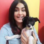 Adah Sharma Instagram - Every dog has his/hers/their ̶D̶a̶y̶ dump 💩💩💩💩 #100YearsOfAdahSharma #adahsharma