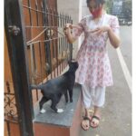 Adah Sharma Instagram - Every dog has his/hers/their ̶D̶a̶y̶ dump 💩💩💩💩 #100YearsOfAdahSharma #adahsharma