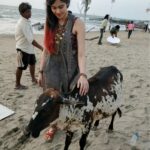 Adah Sharma Instagram - Photographic evidence of me flirting with गाय 's on set .... Also itnaaa bada smile n all I don't do unless I'm around my kinda guys 😁🤓 #100YearsOfAdahSharma #adahsharma #cow #cowgirl #calf #socutebabycalf
